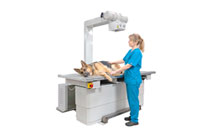 Ветеринарный рентгеновский аппарат от компании АМИКО