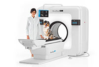 КЛКТ для ветеренарии